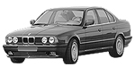 BMW E34 C2533 Fault Code
